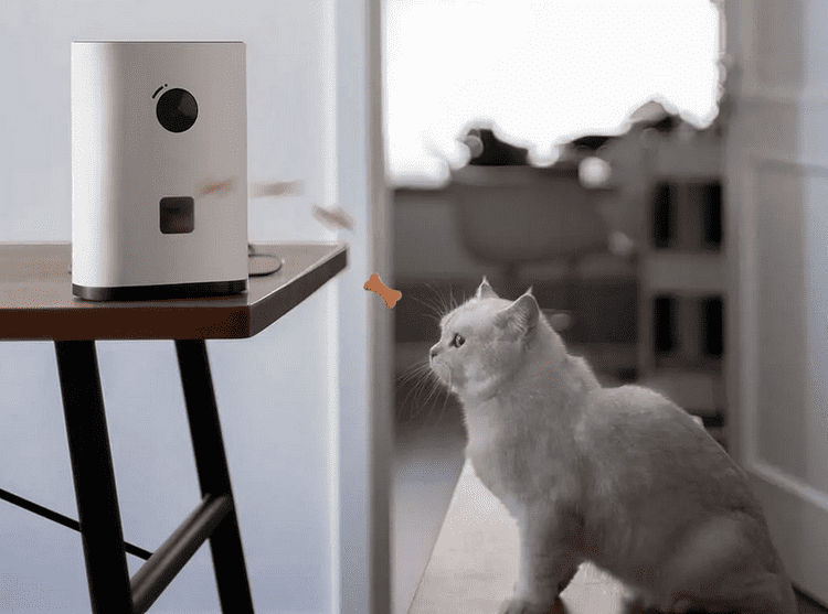 Процесс работы автокормушки Xiaomi Pawbby Treat Cam Camera Smart Pet Feeder CCTV